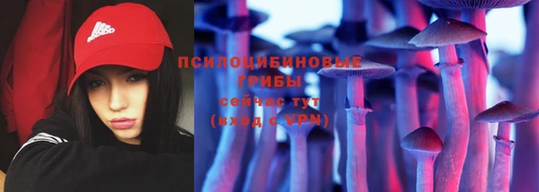 соль курить ск Богородицк