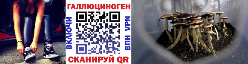 Галлюциногенные грибы Psilocybe  мориарти как зайти  Буй  kraken  